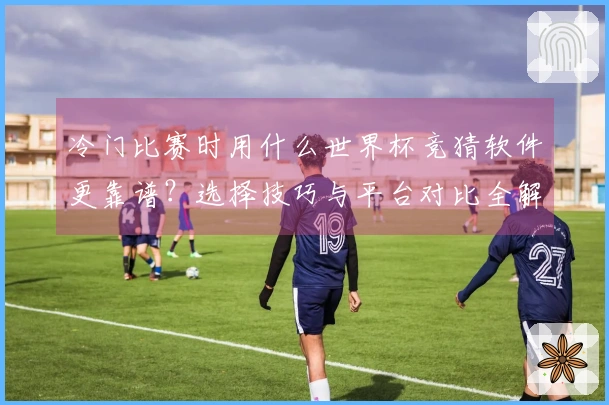 冷门比赛时用什么世界杯竞猜软件更靠谱？选择技巧与平台对比全解析