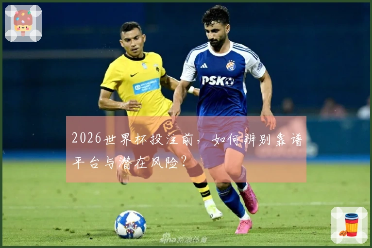 2026世界杯投注前，如何辨别靠谱平台与潜在风险？