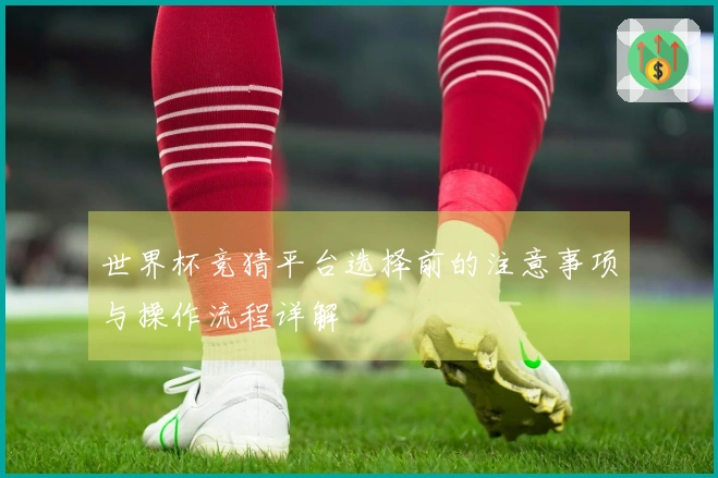 世界杯竞猜平台选择前的注意事项与操作流程详解