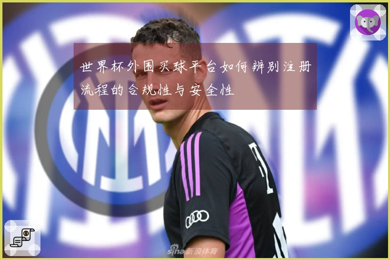 世界杯外围买球平台如何辨别注册流程的合规性与安全性