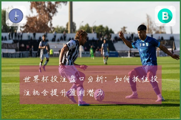 世界杯投注盘口分析：如何抓住投注机会提升盈利潜力