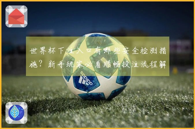 世界杯下注入口有哪些安全检测措施？新手玩家必看顺畅投注流程解析