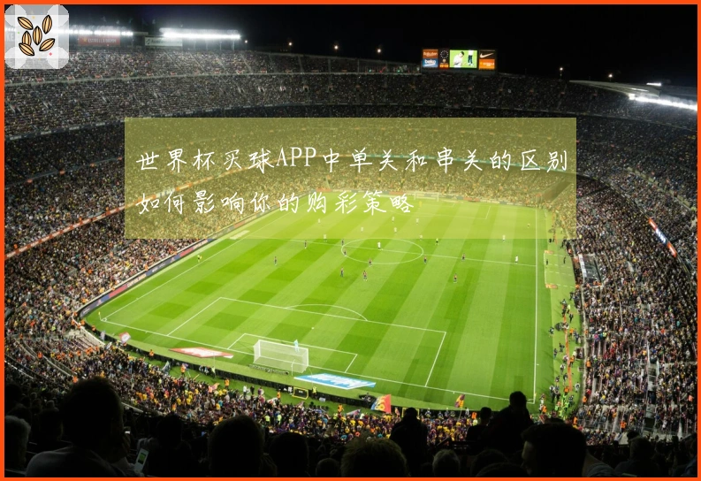 世界杯买球APP中单关和串关的区别如何影响你的购彩策略